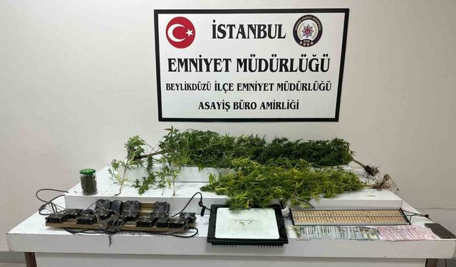 Beylikdüzü’nde uyuşturucu serasına çevrilen eve baskın: 1 gözaltı