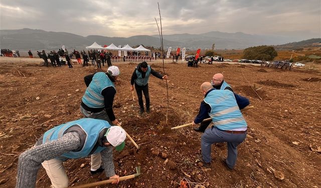 Bilecik’te mahkumlar fidan dikimine katıldı