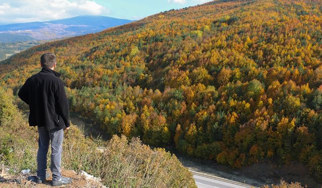 Bolu’nun yükseklerinde renk cümbüşü