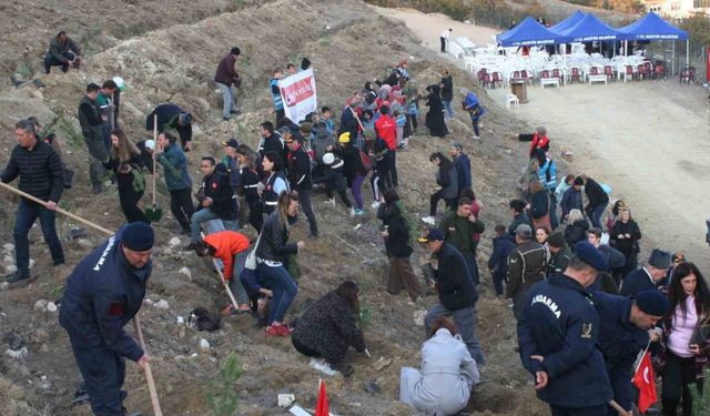 Bozüyük’te Şehitler Ormanı için 1111 adet fidan dikildi