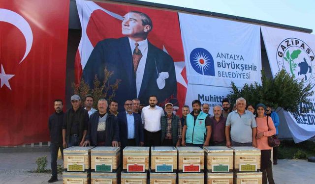 Büyükşehir’den Gazipaşalı arıcılara kovan desteği