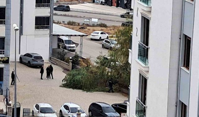 Elazığ’da şiddetli fırtına ağaçları devirdi