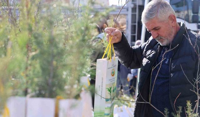 Elazığ’da vatandaşlara 23 bin adet ücretsiz fidan dağıtıldı