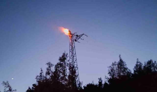 Elektrik direğinde akıma kapılan şahıs yanarak öldü