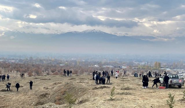 Erzincan’da dağa taşa umut ekiyorlar