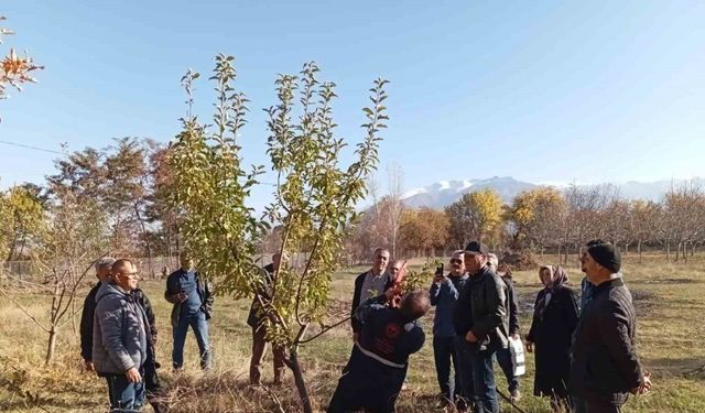 Erzincan’da teorik ve pratik budama eğitimleri başlatıldı