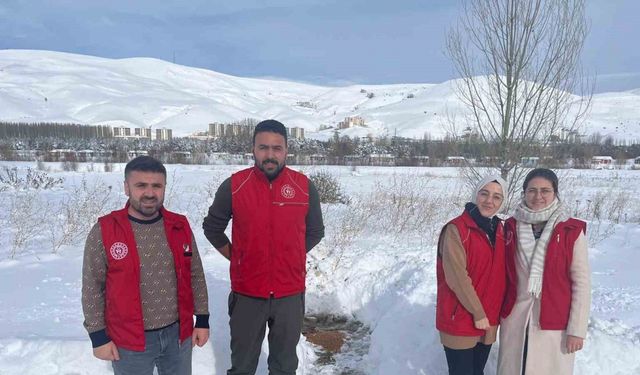 Gençlik Merkezi gönüllüleri sokak hayvanları için doğaya yiyecek bıraktı