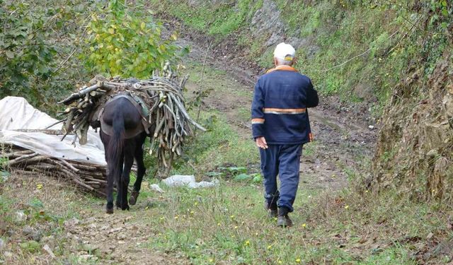 Giresun’un köylerinde katırcılık sona eriyor