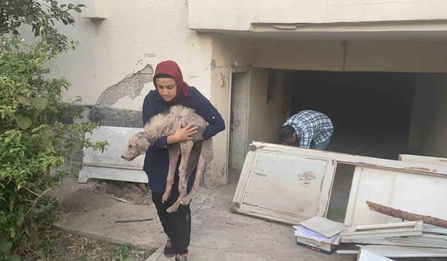 Hasarlı binada ölümü bekleyen zor durumdaki köpeği hayvan severler kurtardı