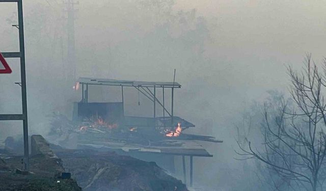 Hatay’da orman yangını evlere sıçradı