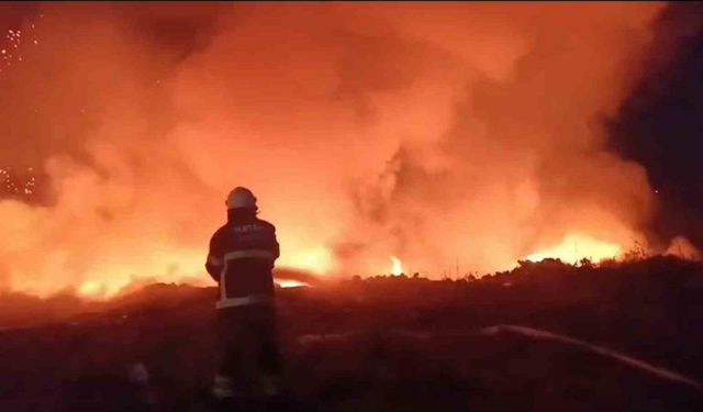 Hatay’da tarım arazisinde yangın: Alevler geceyi aydınlattı