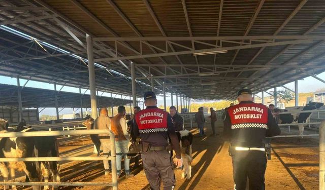 Hayvan pazarında ’dolandırıcılık’ kontrolü