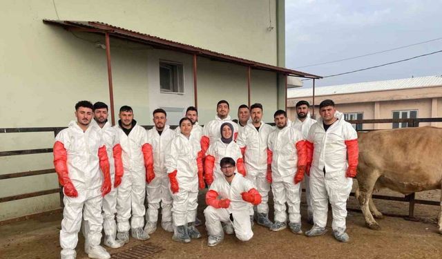 Iğdır’da veteriner sağlık teknisyenlerine suni tohumlama kursu düzenlendi