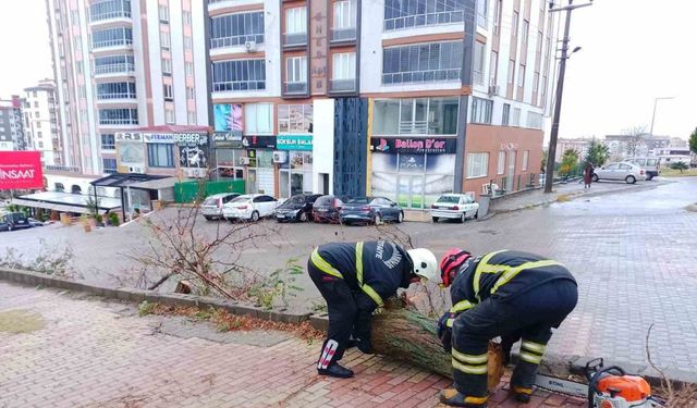 Kahramanmaraş’ta sağanak ve kar yağışı etkili oldu