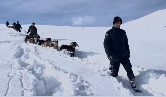 Kar ve tipide kaybolan hayvanlar jandarma tarafından drone ile yerleri tespit edilerek bulundu