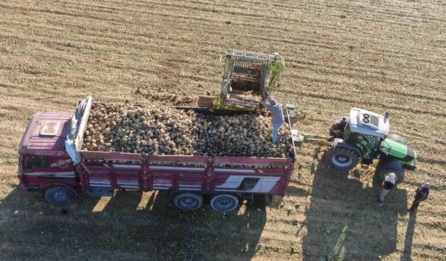 Kastamonu’da çiftçilerin zorlu pancar mesaisi devam ediyor