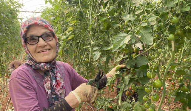 Kocası 5 çocuğuyla bırakıp kaçınca 46 sene ev temizledi, şimdi ise 75 yaşında serada çalışıyor