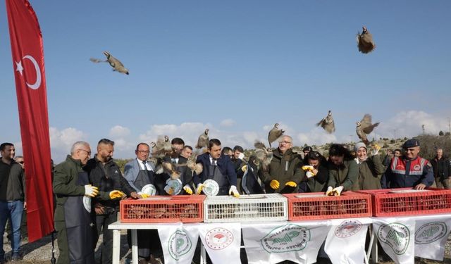 Kütahya’da yaban hayatına destek