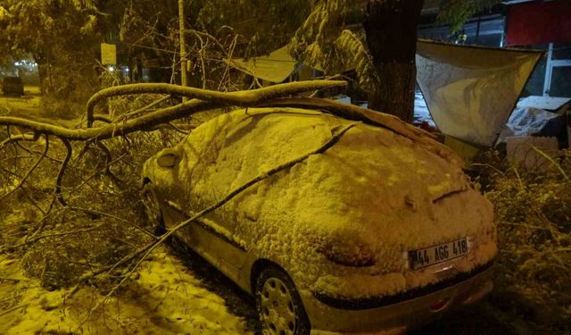 Malatya’da kardan kırılan ağaç dalları araçların üzerine devrildi