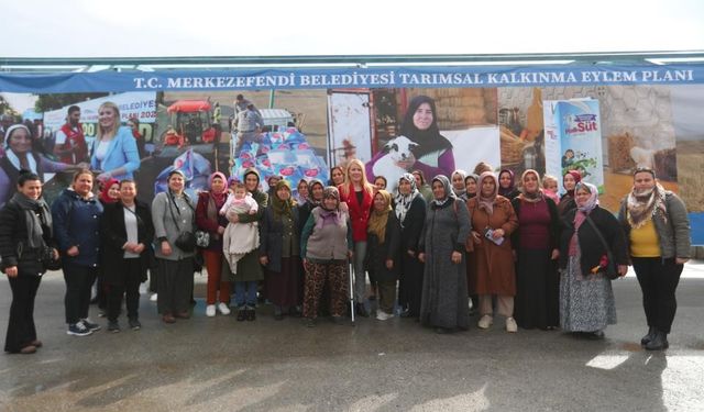 Merkezefendi Belediyesinin yem desteği devam ediyor