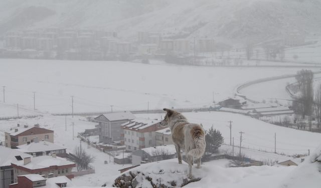 Meteoroloji’den Bayburt için kar yağışı uyarısı