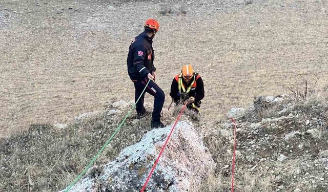 Muş’ta kayalıkta mahsur kalan keçiler kurtarıldı