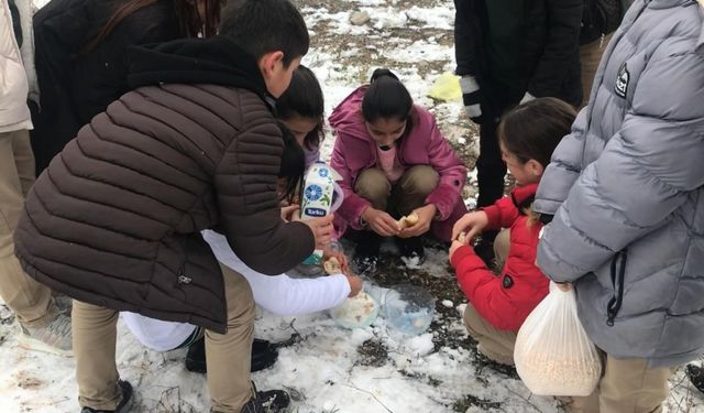 Öğrenciler kar sebebiyle aç kalan hayvanlar için doğaya yiyecek bıraktı