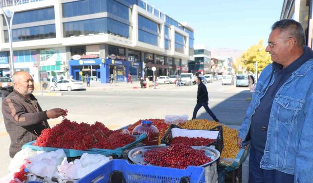 ’Seyyar doktor’ dağ bitkileriyle şifa dağıtıyor