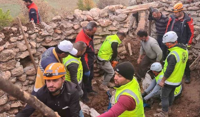 Siirt’te ahırın tavanı çöktü, 3 küçükbaş telef oldu