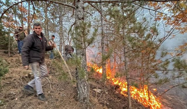 Simav ve Hisarcık’ta orman yangınları