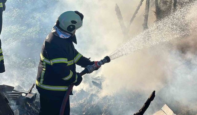 Sinop’ta çakmakla oynayan çocuklar samanlığı yaktı