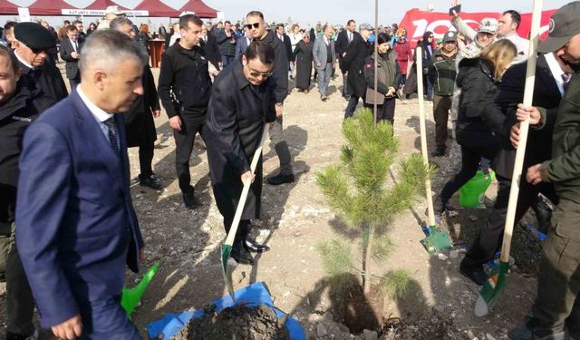 Son 5 yılda Kütahya’da 110 milyon 757 bin 317 fidan toprakla buluşturuldu