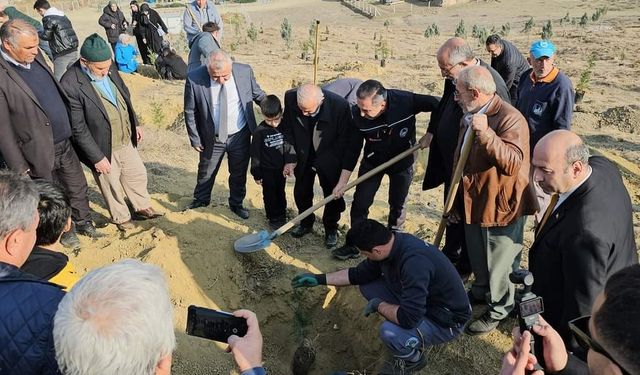 Sungurlu’da fidanlar toprakla buluştu