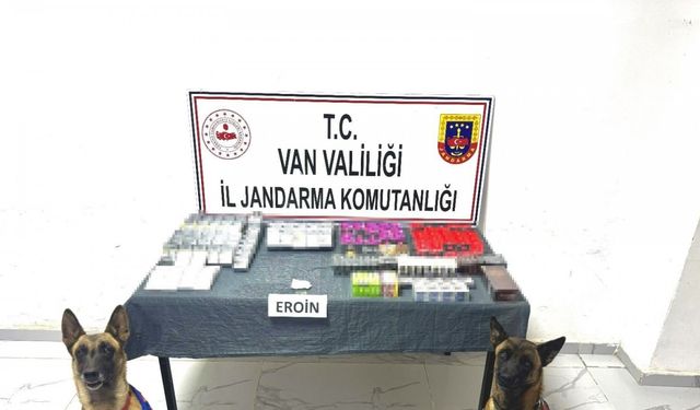 Van’da gümrük kaçakçılığı operasyonları