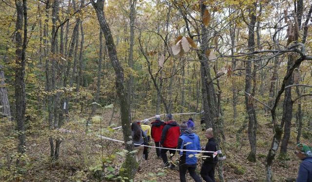 Yenice ormanlarında tepki çeken çevre kirliliği