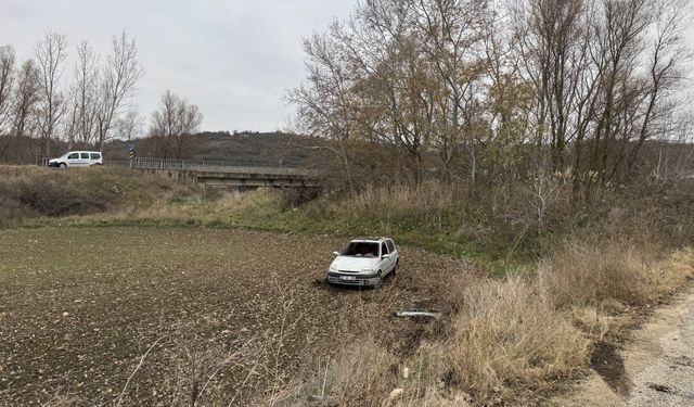 Edirne'de tarlaya devrilen otomobilde 1 kişi yaralandı