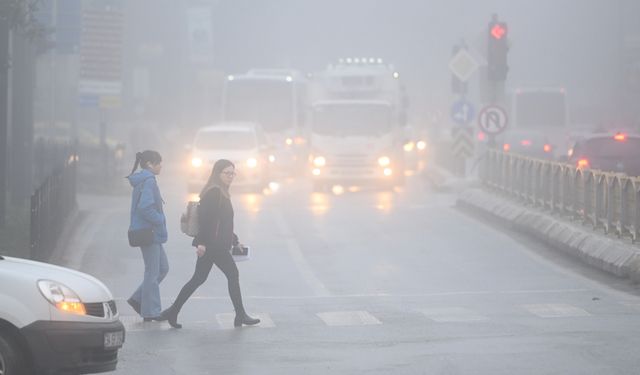 Edirne'de yoğun sis etkili oldu