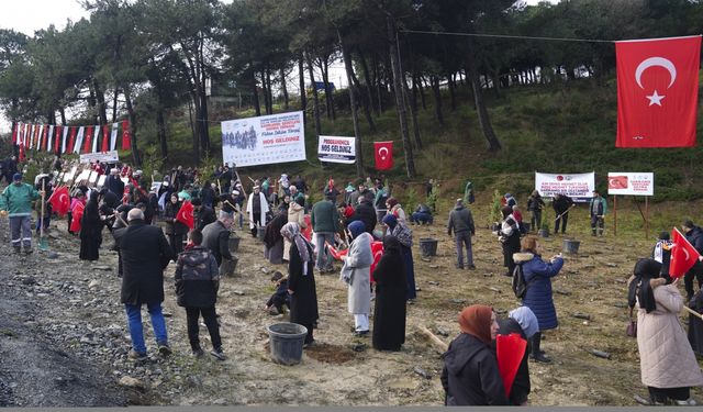 Sultangazi'de Sarıkamış şehitleri anısına hatıra ormanı oluşturuldu