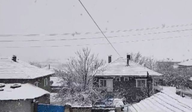 20’ye yakın köy ve belde yağan kar yağışı sonrası beyaza büründü