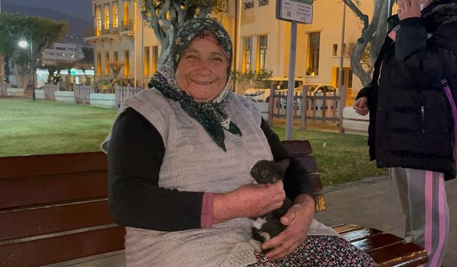 Aracın motoruna giren yavru kediyi yaşlı kadın kurtardı