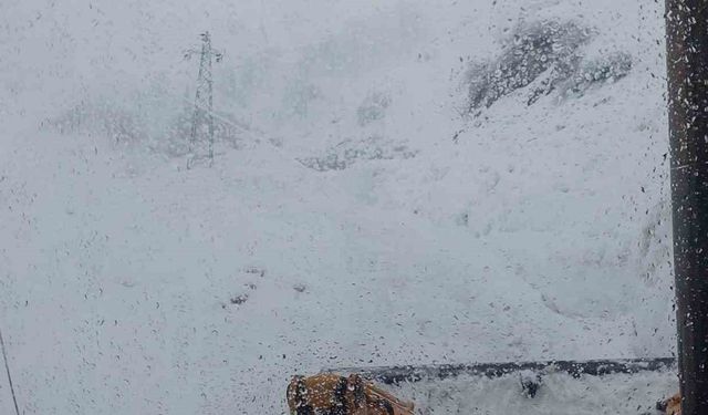 Artvin’de kar nedeniyle Camili bölgesi ve  6 köy yolu ulaşıma kapandı