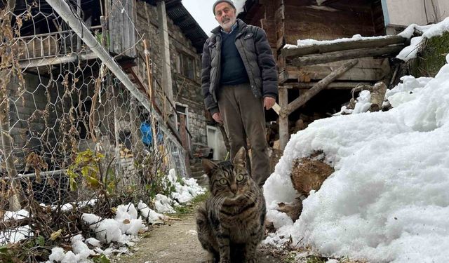 Artvin’de mezrada mahsur kalan kedileri için karlı yolları aşarak yiyecek taşıyor