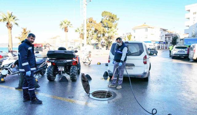 Ayvalık’ta kışlık ilaçlama çalışmaları yapıldı