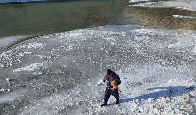 Bayburt’ta buz tutan nehre giren kediyi itfaiye kurtardı