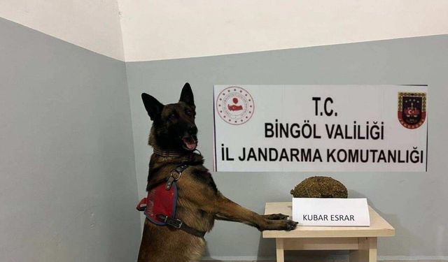 Bingöl’de uyuşturucu ve  aranan şahıslara yönelik çalışma