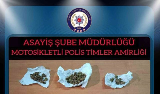 Bingöl’de üzerlerinden uyuşturucu ve ruhsatsız silah çıkan 2 kişi yakalandı