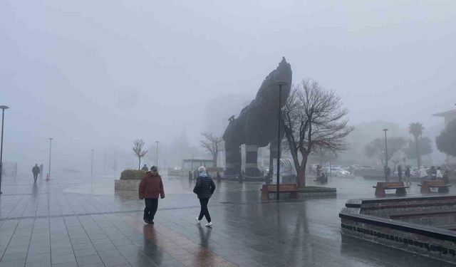 Çanakkale Boğazı sis nedeniyle transit gemi geçişlerine kapatıldı, feribot seferleri geçici olarak durduruldu