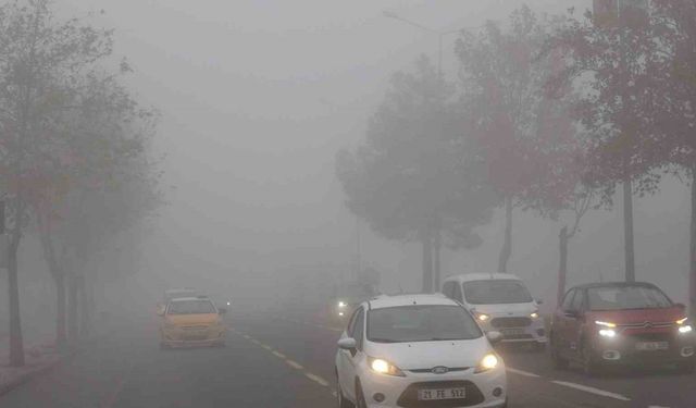 Diyarbakır’da hava ve kara ulaşımına sis engeli