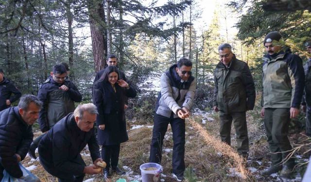 Doğada aç kalan yaban hayvanları için yem bıraktılar