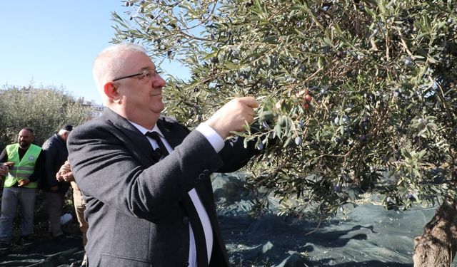 Edremit Belediye Başkanı Mehmet Ertaş “Tek bir zeytin tanesi heba olmuyor”